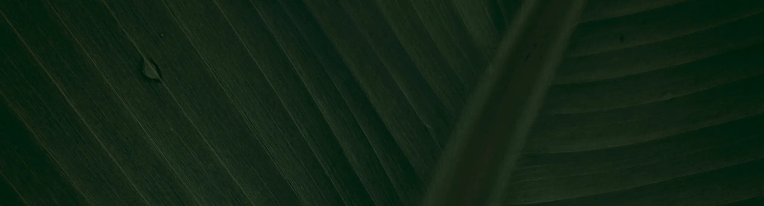 3.5FT Artificial Palm Plant – Realistic 3-Stem Fake Tropical Tree – Indoor/Outdoor Home & Office Decor