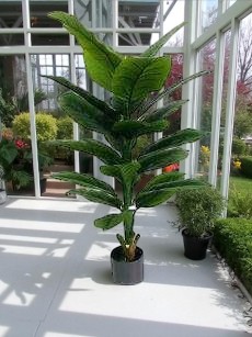 Transform your space with this stunning 5FT artificial banana palm plant, featuring ultra-realistic broad leaves and a natural-looking trunk. Perfect for adding instant tropical vibes to living rooms, offices, patios, or commercial spaces, this faux banana palm requires zero maintenance while staying lush and green year-round.  Key Features: ✔ True-to-Life Design – Detailed, veined leaves with authentic droop ✔ Perfect 5FT Height – Makes a statement without overwhelming your space ✔ All-Weather Durability – UV-resistant for covered outdoor use ✔ Included Weighted Base – Sturdy pot prevents tipping ✔ Pet-Friendly & Allergy-Safe – No toxic leaves or pollen  Ideal For: • Creating vacation-style indoor oases • Adding privacy to balconies or patios • Enhancing offices, lobbies, or restaurant decor • Low-maintenance greenery for busy homeowners  Enjoy permanent tropical elegance without watering, pruning, or sunlight – this artificial banana palm stays perfectly vibrant forever!