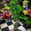 Gemini_Generated_Image_5qrqgn5qrqgn5qrq Evergreen Artificial Topiary Tree in Decorative Black Pot