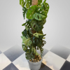 Tropical Monstera Totem