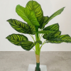 Striking Modern Artificial Variegated Pinstripe Plant - Realistic Faux Zebra Calathea Tree
