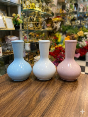 Elegant Pastel Ceramic Flower Vase Set – Modern Minimalist Home Décor (Set of 3)