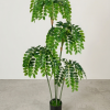 Realistic 150cm Artificial Multi-Stem Tiered Bucida Tree (Black Olive Style) - Potted Floor Plant