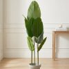 Artificial Bird of Paradise Plant with Pot – Large Indoor Decorative Plant for Home & Office Décor